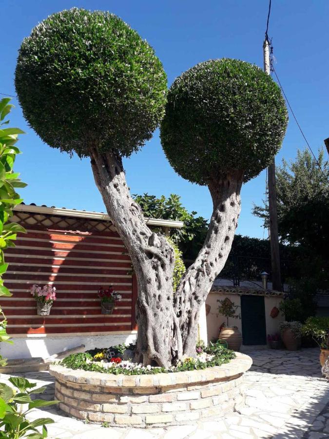 Flowers Affittacamere Benitses (Corfu)